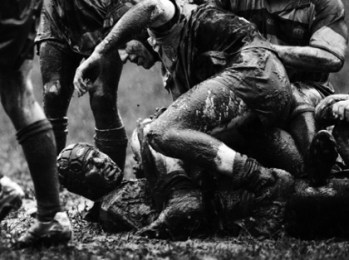 e9800443074cd81cf0614a6829c4d5f6