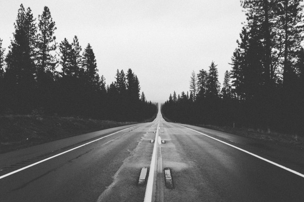 black-and-white-road-to-forest_442-19321742