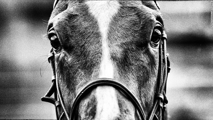 131003114457-crowhurst-horsehead-horizontal-large-gallery