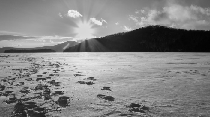 45074312121_ee5dc151a3_b