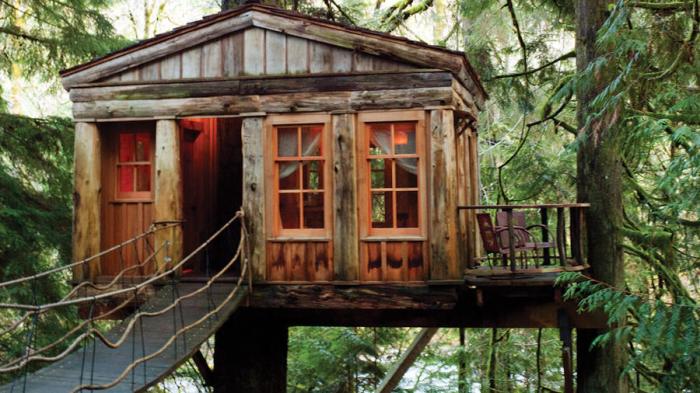 treehouse-crop