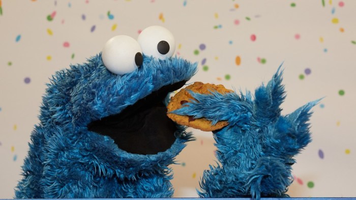 uploadscardimage93042397a69861-1354-408b-9551-e24803ef956f.jpg950x534__filtersquality90